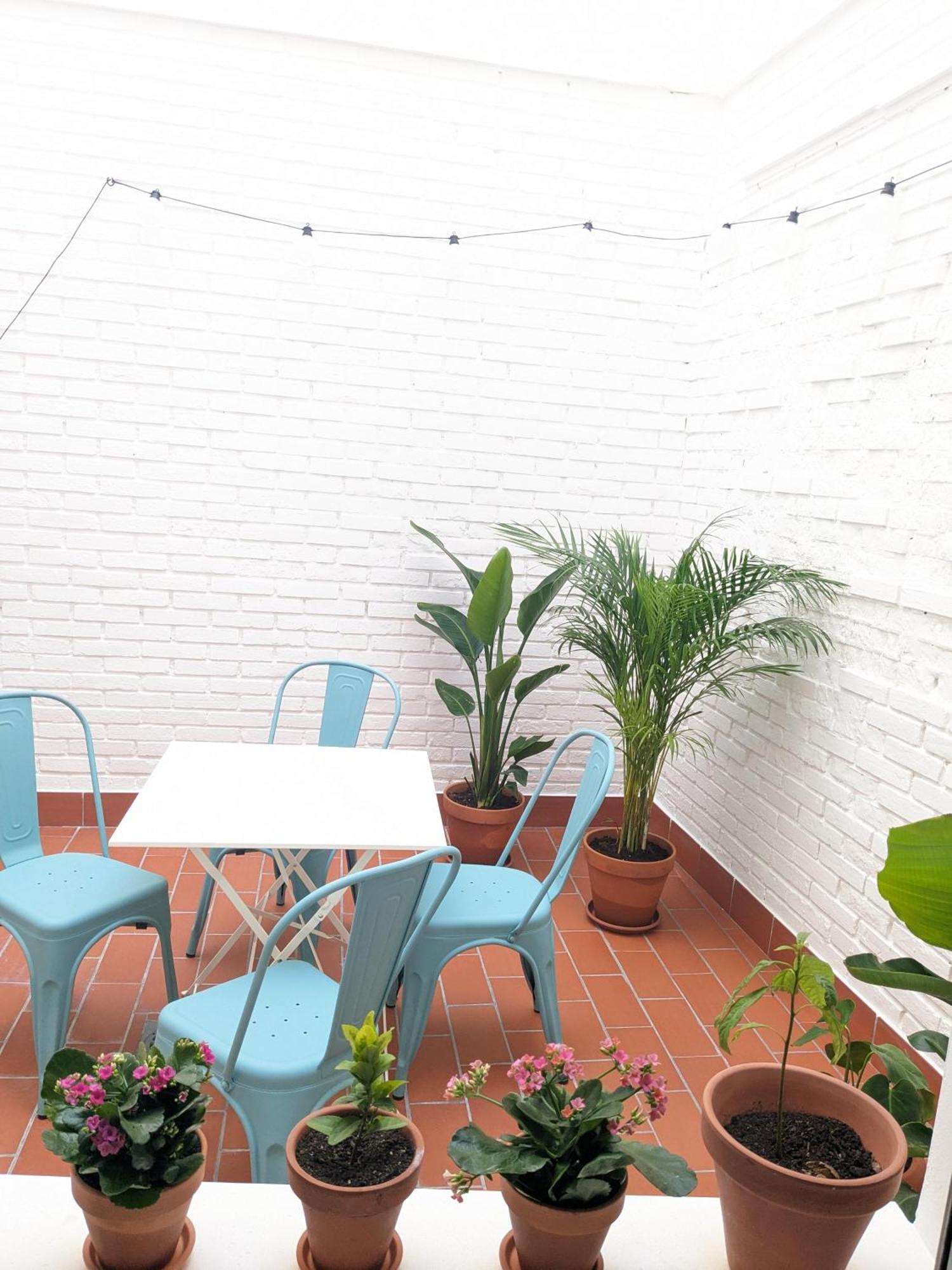 Patio's House *